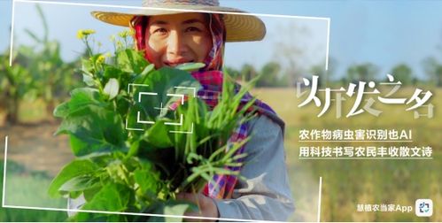高效防治农作物病虫害，保障农业丰收