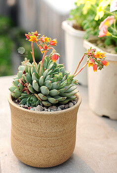 说句掏心话：别迷信