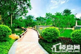 园林设计：生态与和谐的交响曲