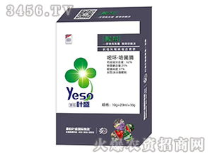 特效药，哪里找？