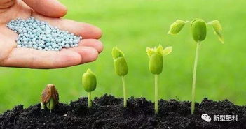 除草剂在土壤中迁移的奥妙