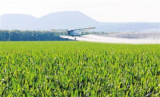 黑龙江的严寒挑战：亩省1.2万，避开烧钱坑，种植什么作物好？