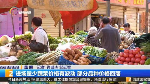 莴笋市场价格波动，每斤价格不一