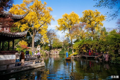 秋天到冬天北方和南方可依种哪些花？