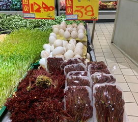香椿抗氧化，清热解毒