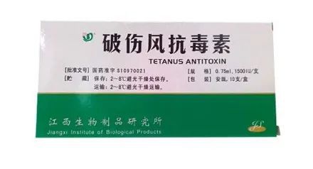 花椒黑头霉病的小麻烦