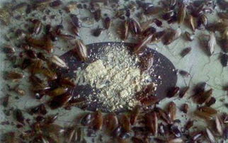 石灰的神奇作用