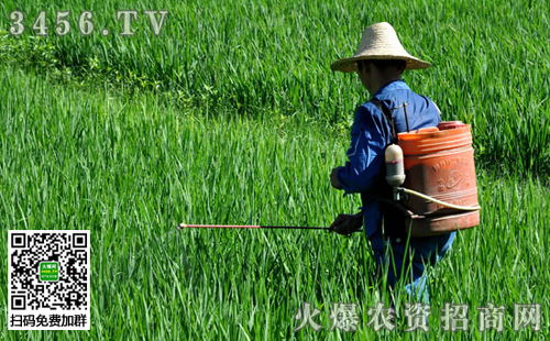 灌根后的大水之谜