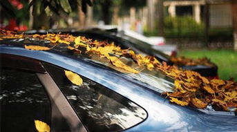 农药喷溅， 短期影响不大，但长期可就不好说了