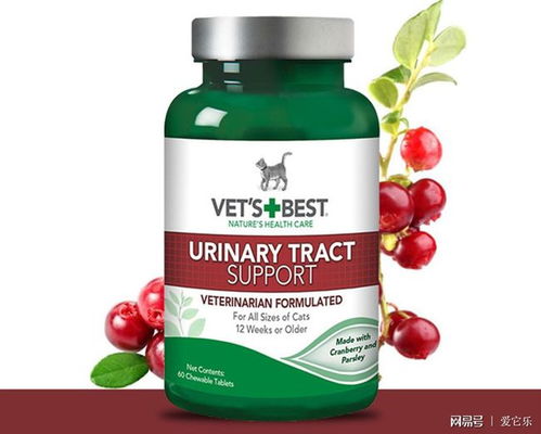 酚类消毒剂：猫咪的隐形杀手