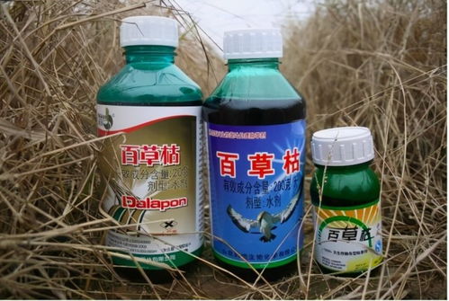 百草枯，到底有多毒呢？