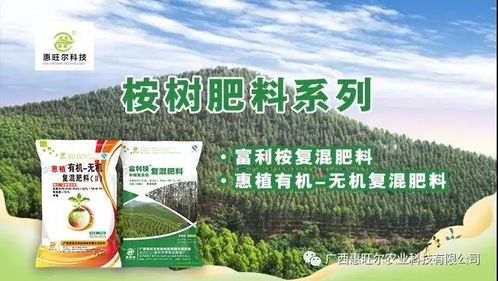 桉树幼苗除草剂选择注意事项