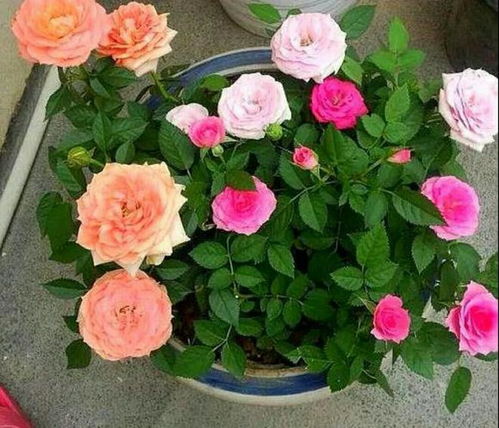 水分补充，不Neng少