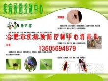 养殖场疾病防控：消毒、杀虫、灭鼠一体化管理