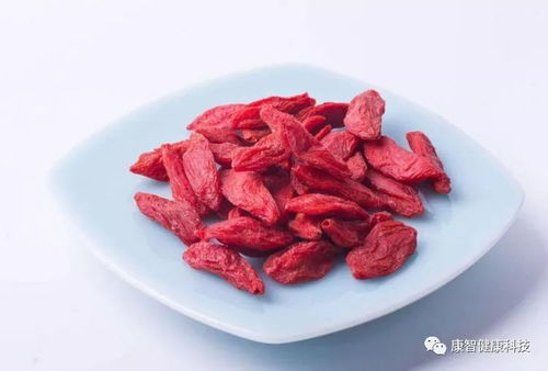 枸杞子性温，过量食用或体质燥热者慎用