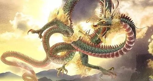 龙爪开花，神秘象征
