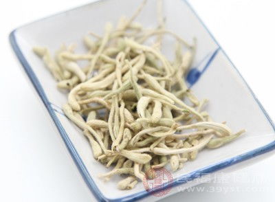 金银花副作用大揭秘？孕妇、过敏体质者千万别乱喝