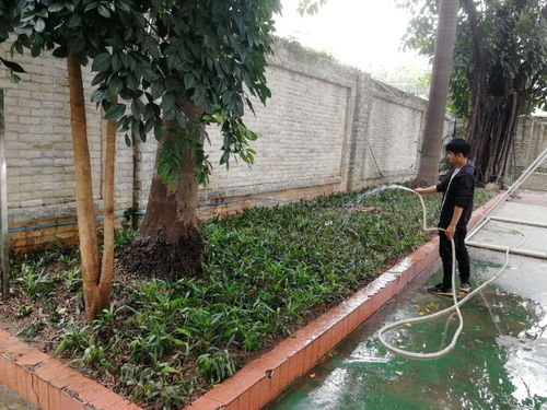 养护期的关键要点