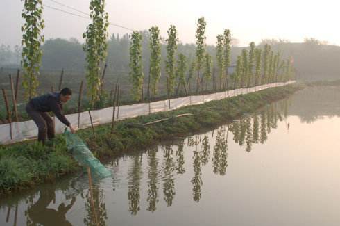 江苏生态养殖新篇章