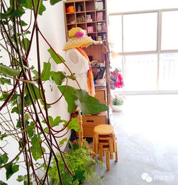 如何避免常春藤叶子发黄：种植技巧全解析