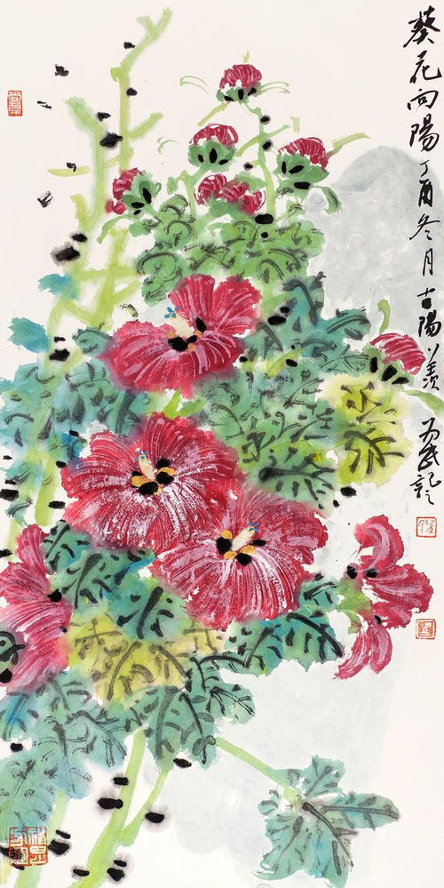 孜孜花图片欣赏，如何养护才能绽放如画