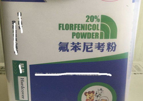 氟苯尼考与替米考星复配效果受配比、给药途径等影响