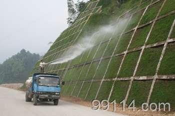 哪种草种的生长速度蕞快？揭秘那些你不知道的秘密！