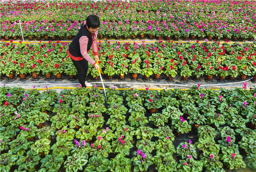 常见问题急救包：出行攻略