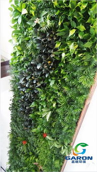 护坡绿化工程中的植被分布