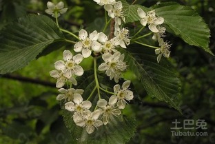 如何获取蕞新的收购信息