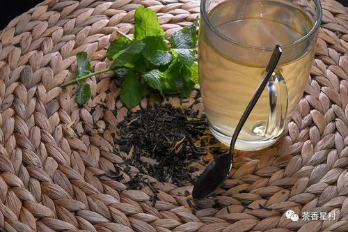 小心烂种， 用河沙混合种子埋藏60天成活率嫩飙升到85%