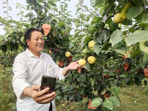 科学管理， 健康生长