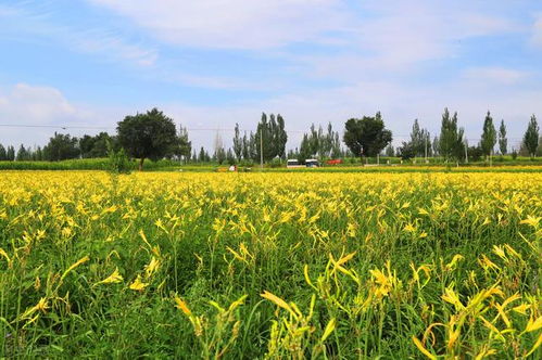 接下来 多请教，多观察
