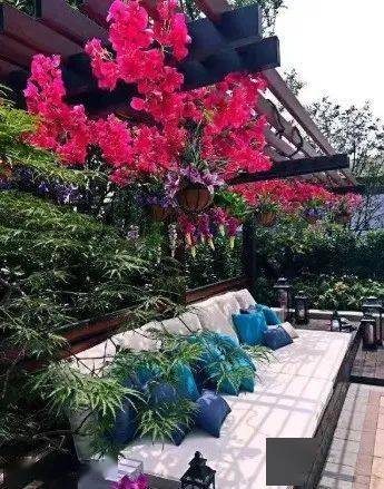 秋季庭院花卉种植攻略：耐寒又美观的花儿推荐