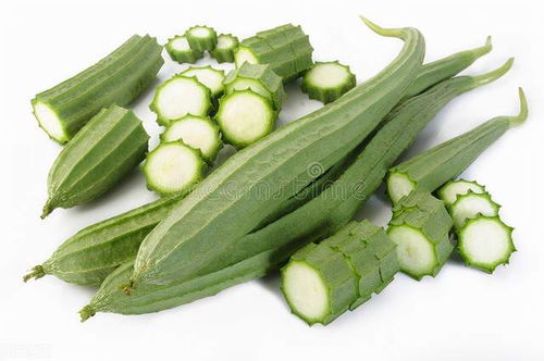 隔年丝瓜种子与进口丝瓜种子的品质大对决