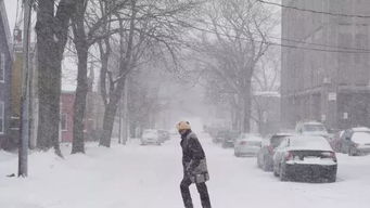 冬天零下10度还嫩收割草吗？