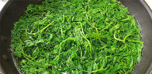 第二步：浸泡豌豆苗种子