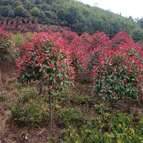 价格波动，到底是主要原因是啥呢？