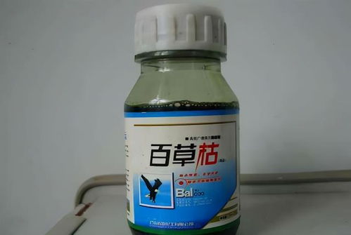 民间偏方：传说中的百草枯解药