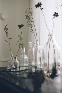 第一步：kan花色，颜色鲜亮否？