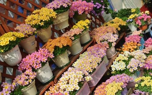 四、pH值要适中