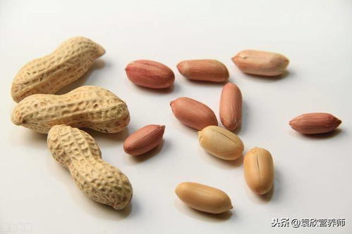 花生旁边种什么好？老农推荐最佳搭配方案