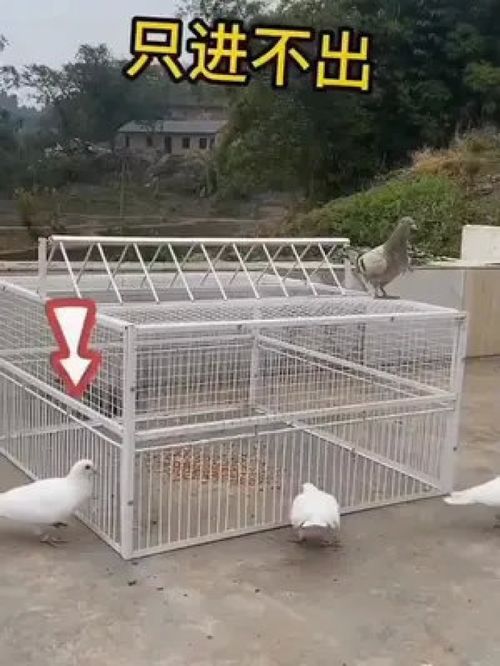 地笼网的使用方法