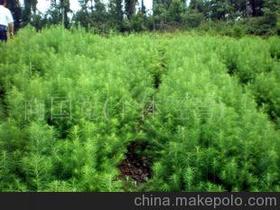 市场的波动，价格的起伏