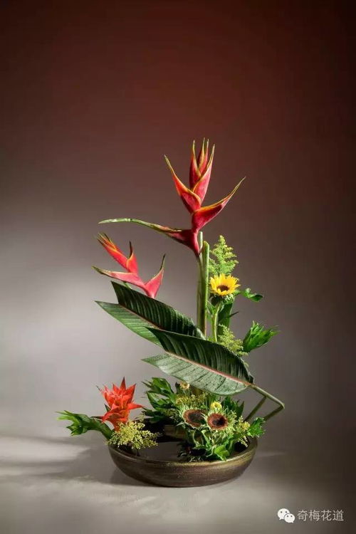 将插花固定花的位置，如何巧妙嵌入花泥