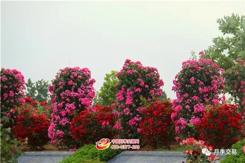 优质服务， 客户满意