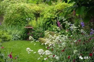 特殊植物， 特殊对待