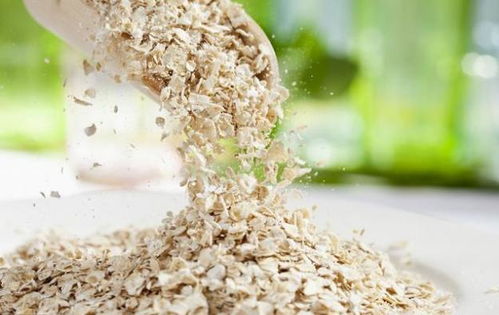 料精和育混料哪个更适合鸡，麸皮和米糠哪个喂鸡效果更佳？