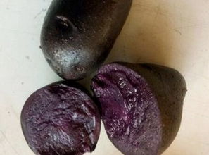 土豆种子拌种的重要性