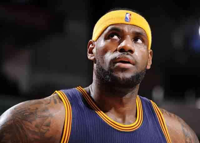 詹姆斯高威月季：美丽背后的故事